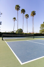 Pickleball  Court Landscape With Nobody