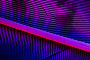 Abstract neon background