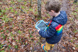 © Jen Grantham/Stocksy - Child using a tablet to identify plant species