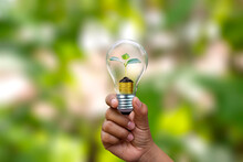 Tree Growing On Coins In Energy-saving Lamps And Green Blurred Nature Background.Financial Concept. Energy-saving And Environmental Protection