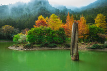 Scenery Of Mingchi Forest Recreation Area In Yilan, Taiwan
