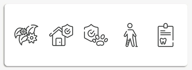 Wall Mural - dental outline icons set. thin line icons sheet included flower therapy, disaster, pet insurance, injured leg of man, dental record vector.