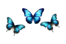 A Set Of Three Very Beautiful Blue Butterflies With Color Transitions Isolated On A Transparent Background. Generative AI.
