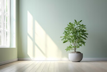 Blank Sage Green Wall In House With Green Tropical Tree In White Modern Design Pot, Baseboard On Wooden Parquet In Sunlight For Luxury Interior Design Decoration, Home Appliance Product Background 