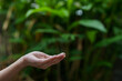 © panomporn - Technology,   Hands holding  globe of tropical nature summer background,