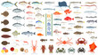 秋の魚介類のイラストセット。鮪、鮭、蟹、貝類など68種のイラスト。フラットなベクターイラストセット。 Illustration set of 68 autumn seafood types including tuna, salmon, crab, shellfish, and more. Flat designed vector illustration set.
