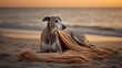 A serene image of a greyhound peacefully lying on a beach blanket, with the waves gently crashing in the background, reflecting a moment of tranquility - Generative ai