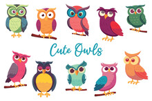 Cute Owls Set. A Flat And Colorful Cartoon Design Featuring A Set Of Cute Owls In Various Poses And Expressions. Vector Illustration.