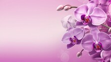 Beauty Flower Banner With Blooming Purple Orchids On Pink Gradient Background. Oriental Floral Background For Presentation, Promotional Sales Or Cosmetics Advertising, Generative AI