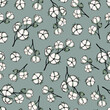 © Diana Kovach - Hand drawn seamless pattern of cottons. Botanical cotton plant and branches with leaves. Decorative floral vector illustration for greeting card, invitation, wallpaper, wrapping paper, fabric