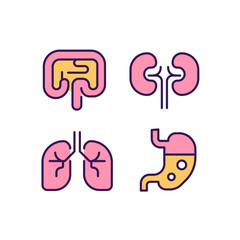 Canvas Print - Human organs pixel perfect RGB color icons set. Gastrointestinal system. Anatomy. Organs transplantation. Isolated vector illustrations. Simple filled line drawings collection. Editable stroke