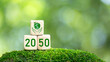 net zero neutral carbon Net zero emission target, zero 2050 icon on green background wooden block.