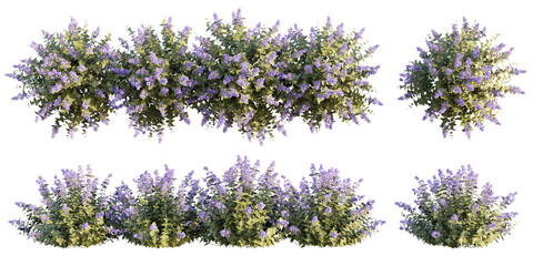 Wall Mural - isolated cutour bushes with purple flower, best for foreground, best for landscape design, best for postpro visualization render.