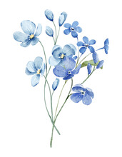 Watercolor Blue Flowers Decor For Stationary, Greetings, Etc. Floral Decoration. Hand Drawing.