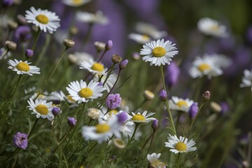 Wall Mural - a bunch of flowers that are in the grass, generative AI