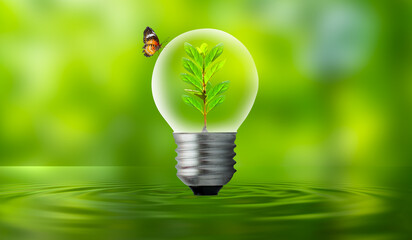 Wall Mural - the bulb is located on the inside with leaves forest and the trees are in the light. concepts of env