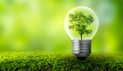 Wall Mural - the bulb is located on the inside with leaves forest and the trees are in the light. concepts of env