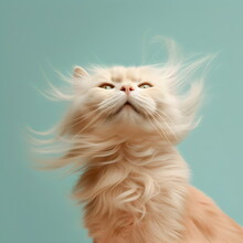 Long Haired Cat Portrait Blowing In Wind Isolated On Plain Green Studio Background, Made With Generative Ai