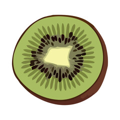 Wall Mural - Juicy kiwi slice, fresh and organic fruit