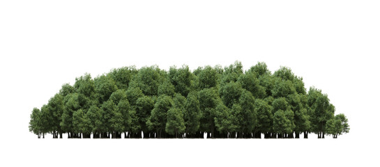 group of trees isolated on a transparent background, big trees in the forest, 3D illustration, cg render