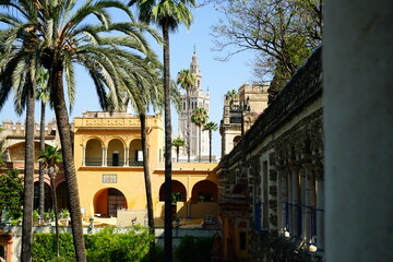 Wall Mural - Real Alcazar de Seville garden detail, Andalucia, Spain