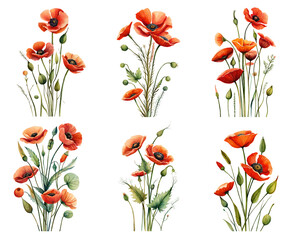 Wall Mural - Watercolor poppies. Generative Ai