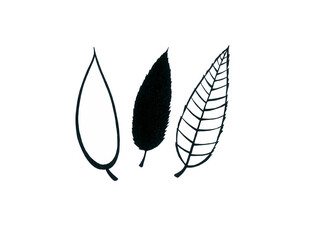 Pattern of three elongated leaves isolated on a white background. Sheet with black outline, black fill and black outline with veins. Doodle.