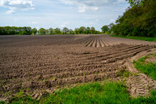 Fresh Ploughed Field In A Rural Area In The Netherlands
