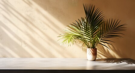 Wall Mural - Brown cement wall and floor, palm tree in vase in a sunlight, long shadow for luxury interior design decoration, product display background, Generative ai