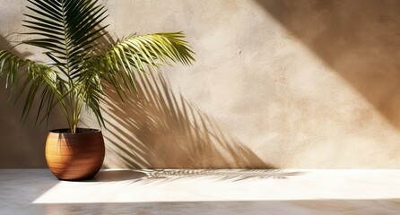 Wall Mural - Brown cement wall and floor, palm tree in vase in a sunlight, long shadow for luxury interior design decoration, product display background, Generative ai