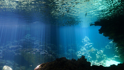 Underwater photo of rays of sunligt inside a cave