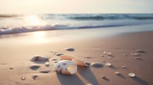  A Seashell On A Sandy Beach With The Sun Shining In The Background.  Generative Ai