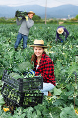 Wall Mural - Portrait of young smiling woman working in field harvesting broccoli