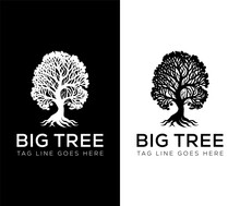 Illustration Of A Large, Lush Tree Made With Beautiful And Sturdy Details Design Vector