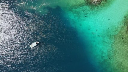 Wall Mural - Aerial view of diving boat on turquoise water surface with blurry sharks swimming at Fuvahmulah island, a famous dive site for tiger sharks in South Maldives. 4K footage drone video