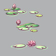 Vector illustration set of a lotus flowers on a transparent background