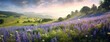 Lavendelträume: Romantische Wiese mit duftenden Blüten in Frankreich