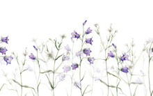 Seamless Border Of Meadow, Forest Flowers. Campanula Patula, Little Bell, Bluebell, Rapunzel. Rabelera Holostea, Stellaria.Watercolor Hand Painting Illustration On Isolate White Background.