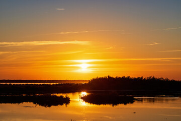 Sticker - Sunset at at wetland with a colorful sky