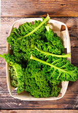 Fresh Green Curly Leaves - Kale
