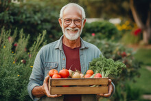 Senior Person Holding A Basket Of Vegetables, Smiling Retired Mature Elderly Man In His Garden With Crop Of Vegetables, Created With Generative AI