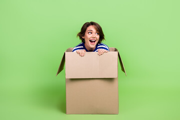 Sticker - Full size photo of nice girl dressed striped sweatshirt sitting in delivery box look empty space isolated on green color background