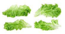 Collage With Fresh Lettuce Leaves On White Background