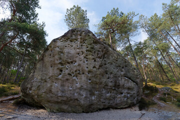 Sticker - Boulders of Larchant in fontainebleau forest