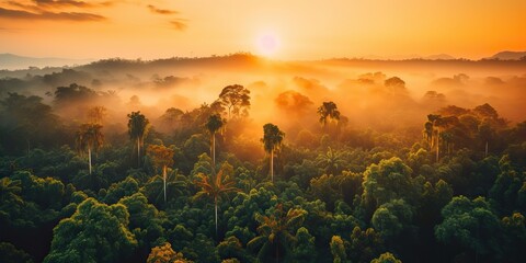 ai generated. ai generative. beautiful green amazon forest landscape at sunset sunrise. adventure ex