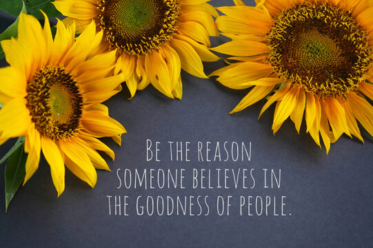 Wall Mural -  - Inspirational quote - Be the reason someone believe in the goodness of people. With three sunflowers on gray background. Kindness concept with yellow flowers floral backgrounds.