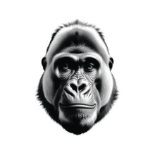 Gorilla Halftone Vector Illustration. Black Dots Animal Design Isolated On White