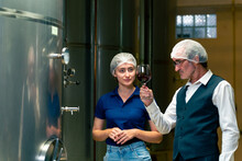 Professional man and woman winemaker working and inspecting wine quality in wine cellar with stainless steel barrel in wine factory. Winery manufacturing industry and winemaking fermentation process.