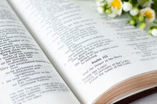 Open Holy Bible Book Of Psalms 113 Verses With A Spring Flower, Close-up. God Is The Helper Of The Poor And Needy, Faith, Trust, And Blessing From Jesus Christ, Christian Biblical Concept.