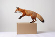 Generative Ai of a fox jumping from a box. 